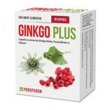 Ginkgo Plus Quantum Pharm, 30 capsule