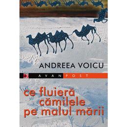 Ce fluiera camilele pe malul marii - Andreea Voicu, editura Paralela 45