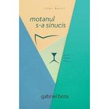 Motanul s-a sinucis - Gabriel Bota, editura Herg Benet