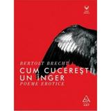 Cum cuceresti un inger - Bertolt Brecht, editura Grupul Editorial Art