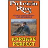 Aproape perfect - Patricia Rice, editura Orizonturi