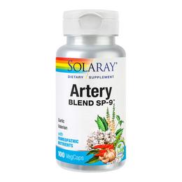 Artery blend secom, 100 capsule