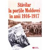 Stavilar la portile Moldovei in anii 1916-1917 - Liliana Adochitei, editura Rovimed