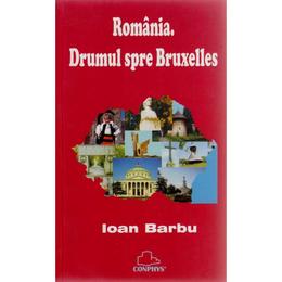 Drumul spre bruxelles - ioan barbu, editura semne