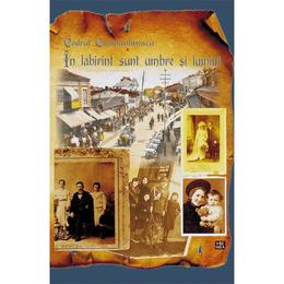 In labirint sunt umbre si lumini - codrut constantinescu, editura vremea