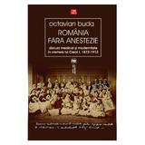 Romania fara anestezie - Octavian Buda, editura Vremea