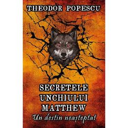 Secretele unchiului matthew. un destin neasteptat - theodor popescu, editura smart publishing