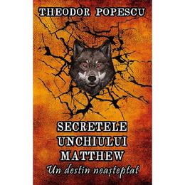 Secretele unchiului Matthew. Un destin neasteptat - Theodor Popescu, editura Smart Publishing