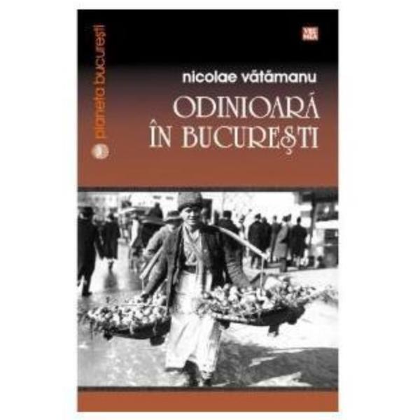 Odinioara in bucuresti - nicolae vatamanu, editura vremea