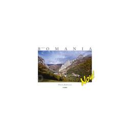 Made in romania - lb. germana - florin andreescu, editura ad libri
