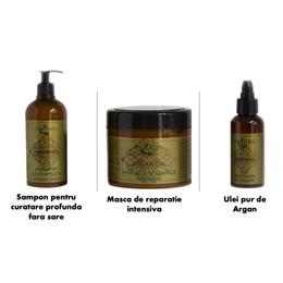Tratament cu ulei de argan, sampon fără sare 500ml, masca reparatoare 500ml, ulei satinat 100ml - tratamentul părului deteriorat