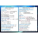 Plansa Fizica: Fenomene electrice si magnetice + Formule de calcul si valori ale constantelor, editura Didactica Si Pedagogica