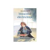 Miracolul electricitatii. Povestea lui Benjamin Franklin - Beverley Birch, editura Prut