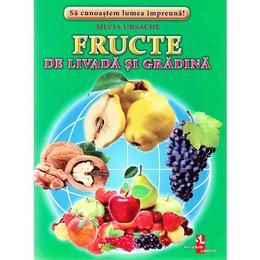 Fructe de livada si gradina - Cartonase - Silvia Ursache, editura Silvius Libris