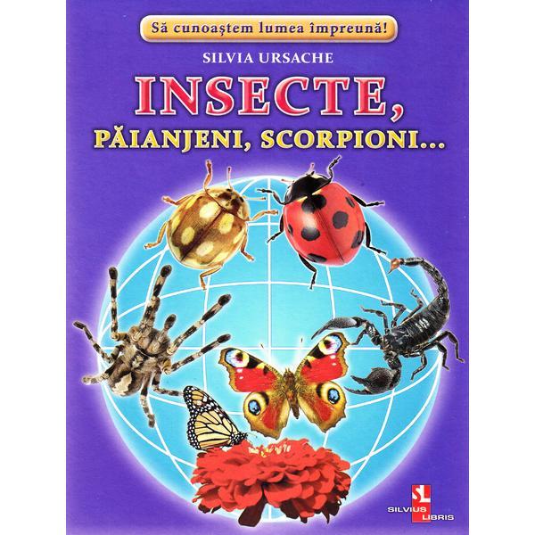 Insecte, Paianjeni, Scorpioni... - Cartonase - Silvia Ursache, editura Silvius Libris