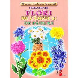 Flori de campie si de padure - cartonase - silvia ursache, editura silvius libris