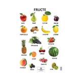 Plansa - Fructe, editura Didactica Publishing House