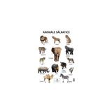 Plansa animale salbatice, editura Didactica Publishing House