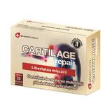 Cartilage Repair Sprint Pharma, 30 capsule