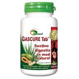 Gascure Ayurmed, 100 tablete