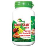 Gout Star Ayurmed, 100 comprimate