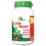 Lyon Heart Ayurmed, 100 tablete