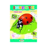 Insecte (mapa) - Inesa Tautu, editura Dorinta