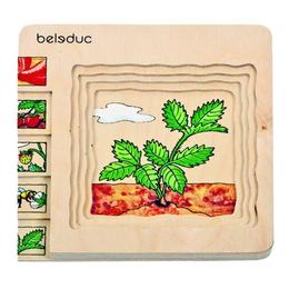 Puzzle stratificat capsuna - beleduc