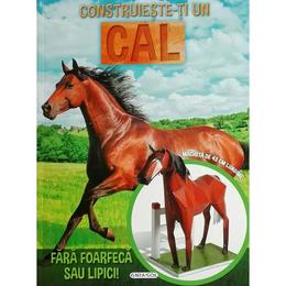 Construieste-ti un cal, editura girasol