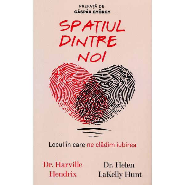 Spatiul dintre noi - Harville Hendrix, Helen LaKelly Hunt, editura Pagina De Psihologie