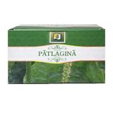 Ceai de Patlagina Stef Mar, 20 buc x 1,5 g