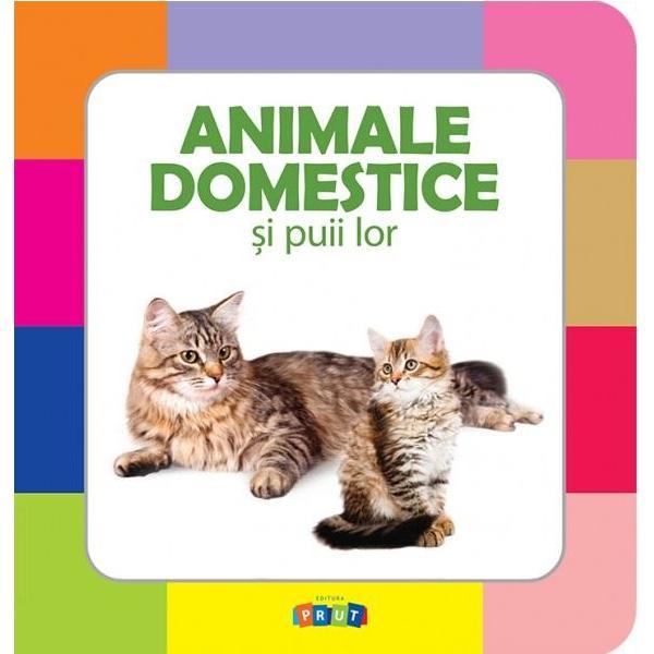Animale domestice si puii lor, editura prut