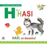 H de la Hasi (cartonat), editura Didactica Publishing House