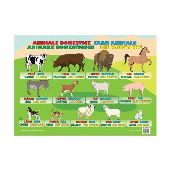 Plansa Animale domestice, editura Ars Libri