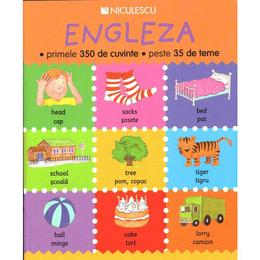 Engelza. primele 350 de cuvinte. peste 35 de teme, editura niculescu