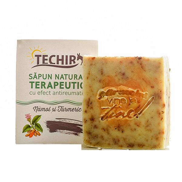 Sapun Terapeutic Antireumatic Techir, 120 g (Antireumatic)