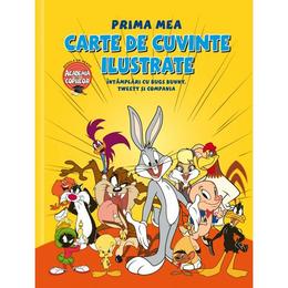 Prima mea carte de cuvinte ilustrate. intamplari cu bugs bunny, tweety si compania, editura litera