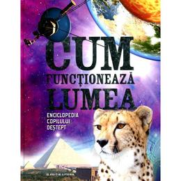 Cum functioneaza lumea, editura litera