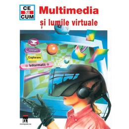 Ce si cum - multimedia si lumile virtuale, editura rao