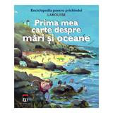 Prima mea carte despre mari si oceane - Larousse Pentru Prichindei, editura Rao