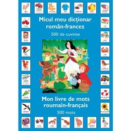 Micul meu dictionar roman-francez 500 de cuvinte, editura rao