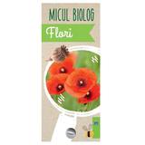 Micul biolog: Flori - Anita van Saan, editura Didactica Publishing House