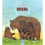 Animale salbatice in natura - Ursul, editura Didactica Publishing House