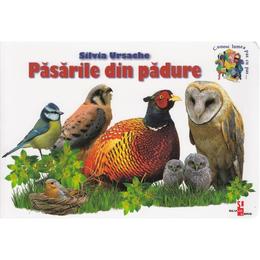 Pasarile din padure - silvia ursache, editura silvius libris