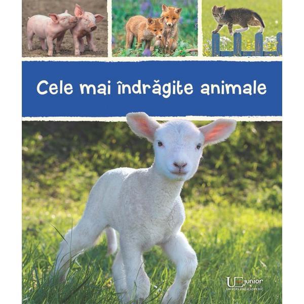 Cele mai indragite animale, editura univers enciclopedic