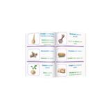 fructe-si-legume-invat-limba-engleza-editura-gama-5.jpg