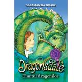 Dragonsdale - Tinutul dragonilor - Salamanda Drake, editura Rao