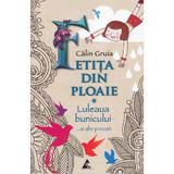 Fetita din ploaie - Calin Gruia, editura Agora