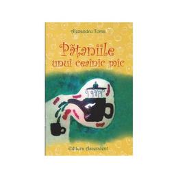 Pataniile unui ceainic mic - Alexandru Toma, editura Ascendent