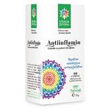 Antiinflamin 500 mg Santo Raphael, 60 capsule
